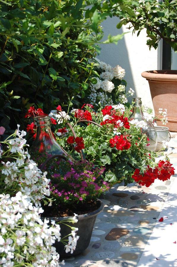 B&B Santa Fosca Pederobba Bagian luar foto